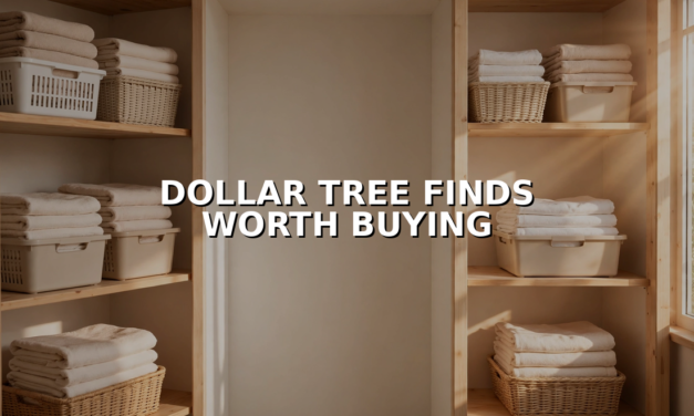 15 Dollar Tree Organizing Finds Worth Buying (and 6 to Skip)